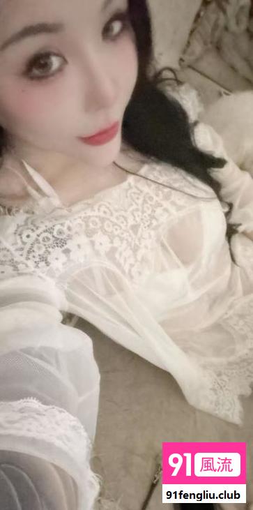 栖霞中项小野猫